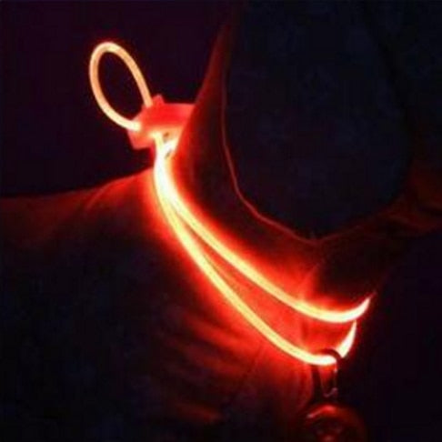Collar LED multicolor de Mascota de alta calidad 1 Uds. Collar ajustable para mascota de seguridad nocturna Collar luminoso Collar brillante para perro mascota