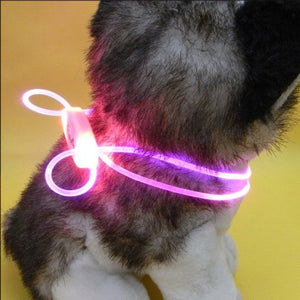 Collar LED multicolor de Mascota de alta calidad 1 Uds. Collar ajustable para mascota de seguridad nocturna Collar luminoso Collar brillante para perro mascota