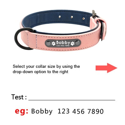 Colliers de chien personnalisés en cuir personnalisé chien étiquette collier laisse plomb pour petits chiens moyens grands Pitbull Bulldog carlins Beagle