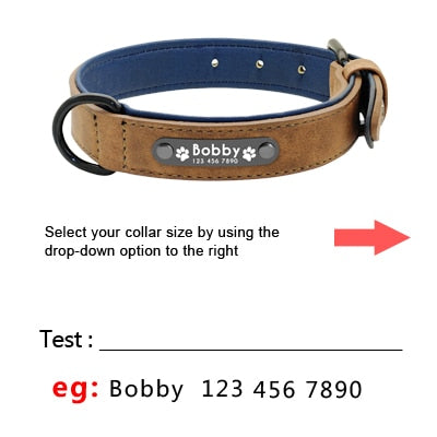 Colliers de chien personnalisés en cuir personnalisé chien étiquette collier laisse plomb pour petits chiens moyens grands Pitbull Bulldog carlins Beagle