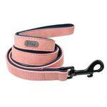 Colliers de chien personnalisés en cuir personnalisé chien étiquette collier laisse plomb pour petits chiens moyens grands Pitbull Bulldog carlins Beagle