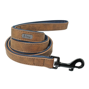 Colliers de chien personnalisés en cuir personnalisé chien étiquette collier laisse plomb pour petits chiens moyens grands Pitbull Bulldog carlins Beagle