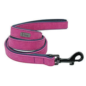 Colliers de chien personnalisés en cuir personnalisé chien étiquette collier laisse plomb pour petits chiens moyens grands Pitbull Bulldog carlins Beagle