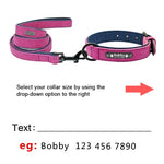 Colliers de chien personnalisés en cuir personnalisé chien étiquette collier laisse plomb pour petits chiens moyens grands Pitbull Bulldog carlins Beagle