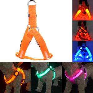 Rechargeable LED Nylon Pet Dog Cat Harness Led Flashing Light Harness Collar Pet Safety Led Leash Rope Belt Dog Accessories