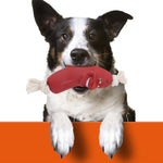 Jouets pour chien brosse à dents molaire pour animaux de compagnie bâton de brossage entraînement chien à mâcher jouet chiens brosse à dents chien chiot soins dentaires chien chiots