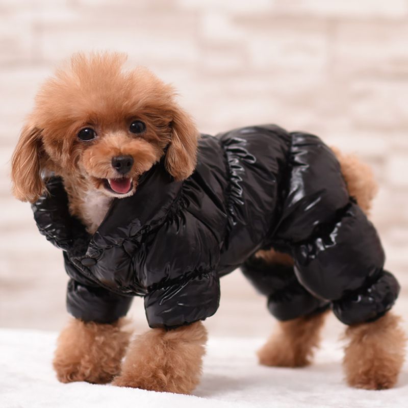 Winter New Arrival Dog Clothes Pet Cat Dogs Padded Coat Winter Clothing Puppy Warm Down Jacket
